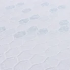 F20251017-06-600x400