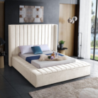 Untitled design - 2026-01-05T161657.551
